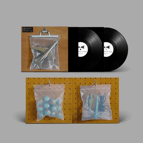 BLACK COUNTRY, NEW ROAD - Ants From Up There Vinyl - JWrayRecords