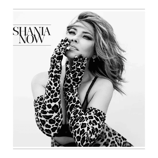 SHANIA TWAIN - Now Vinyl - JWrayRecords