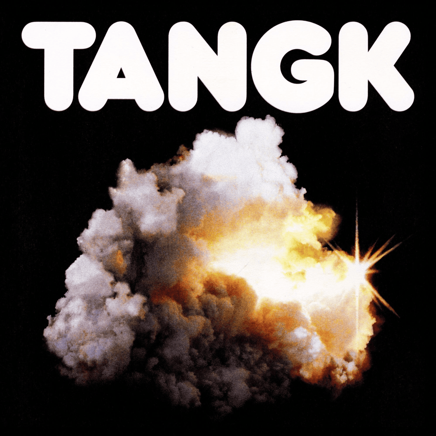 IDLES - Tangk Vinyl - JWrayRecords
