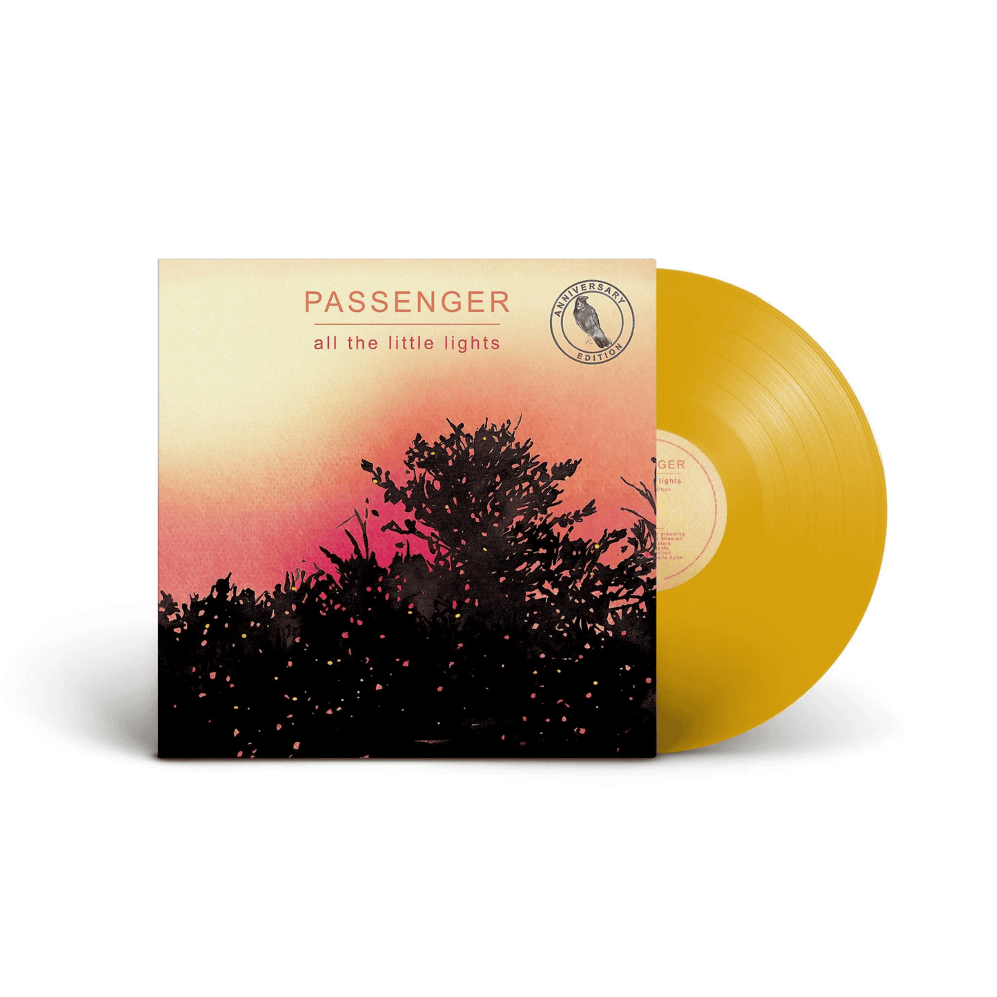 PASSENGER - All The Little Lights Vinyl - JWrayRecords