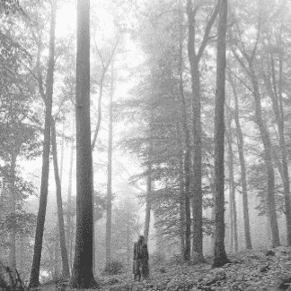 TAYLOR SWIFT - Folklore CD - JWrayRecords