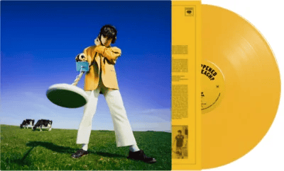 DECLAN MCKENNA - What Happened to the Beach? Vinyl - JWrayRecords