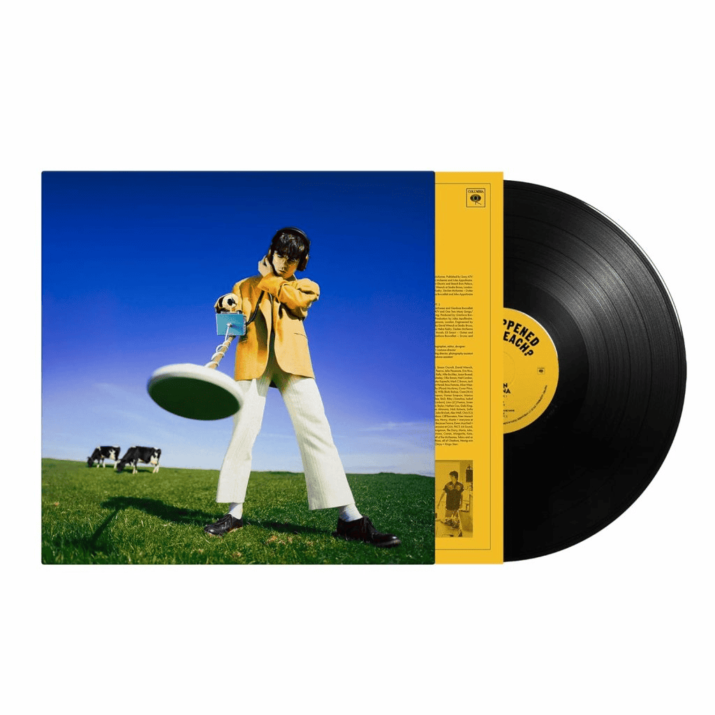 DECLAN MCKENNA - What Happened to the Beach? Vinyl - JWrayRecords