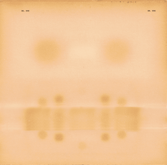 DR. DOG - Dr. Dog Vinyl - JWrayRecords