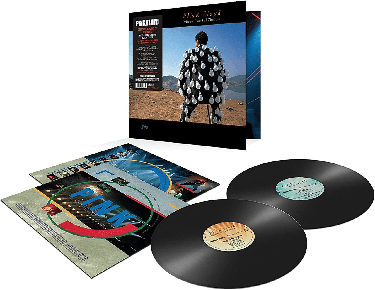 PINK FLOYD - Delicate Sound of Thunder Vinyl - JWrayRecords