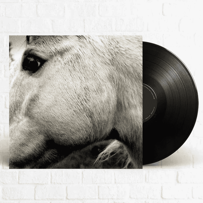 BONNY LIGHT HORSEMAN - Bonny Light Horseman Vinyl
