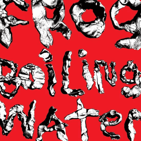 DIIV - Frog in Boiling Water Vinyl