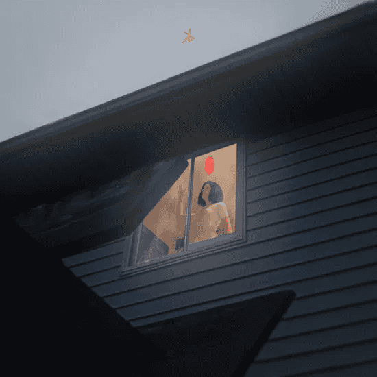 KILLS BIRDS - Crave Vinyl