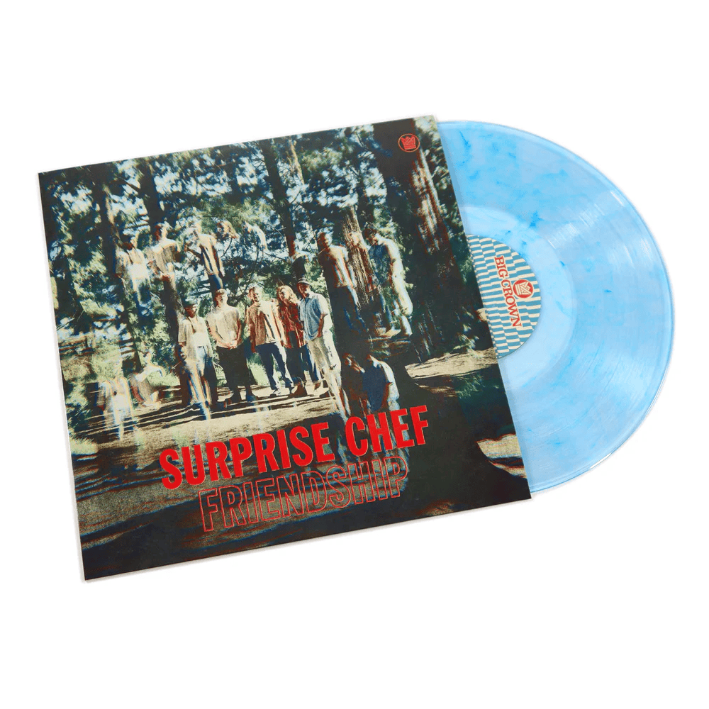 SURPRISE CHEF - Friendship Vinyl