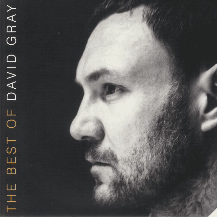 DAVID GRAY - The Best Of David Gray Vinyl