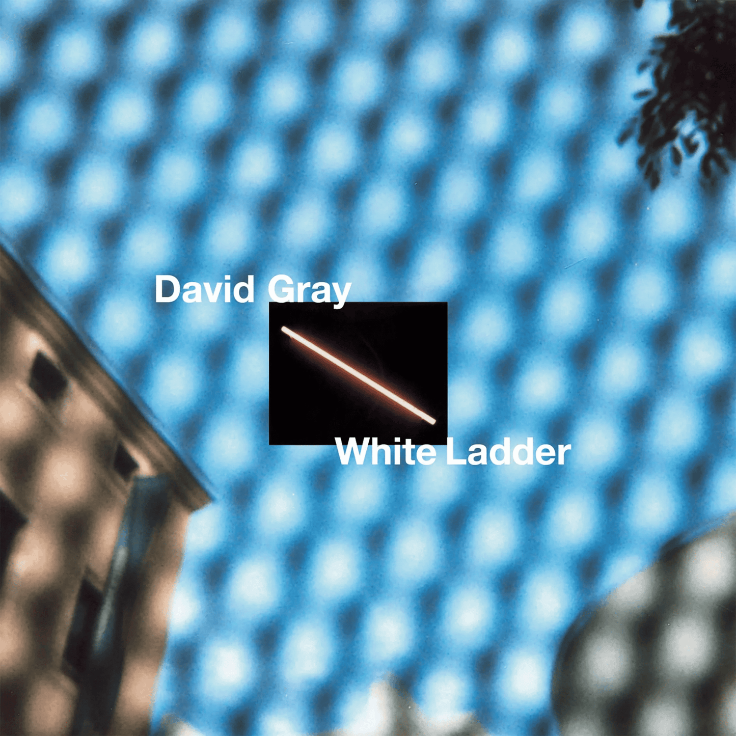 DAVID GRAY - White Ladder Vinyl