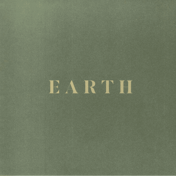 SAULT - Earth Vinyl