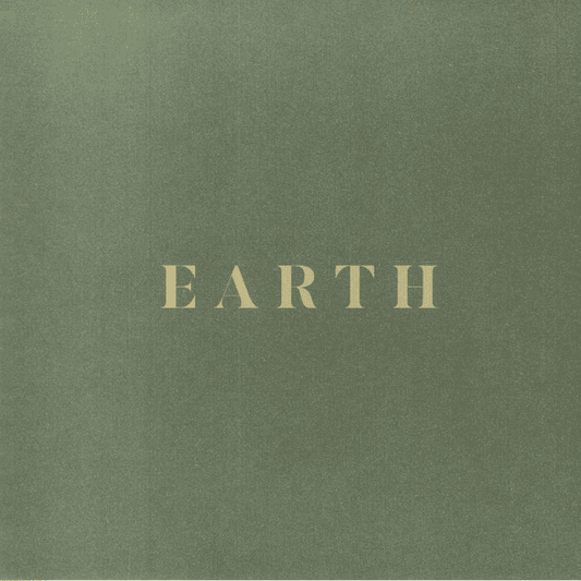 SAULT - Earth Vinyl