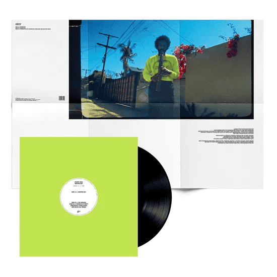 ANDRE 3000 - Moving Day Vinyl