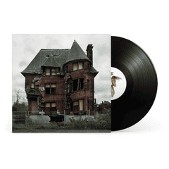 BILLY WOODS & KENNY SEGAL - Hiding Places Vinyl