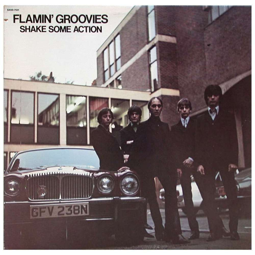 FLAMIN' GROOVIES - Shake Some Action Vinyl