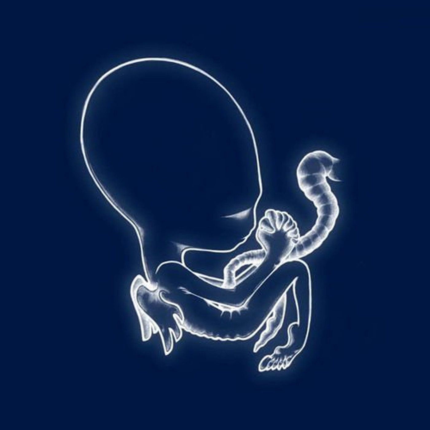 SIGUR ROS - Agaetis Byrjun Vinyl