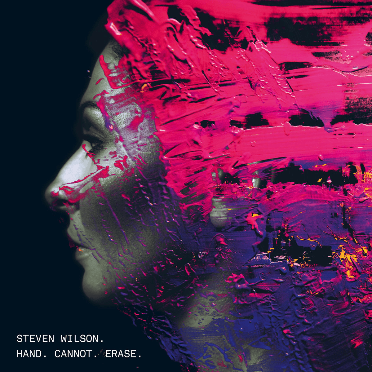 STEVEN WILSON - Hand. Cannot. Erase. 10th Anniversary Edition Vinyl