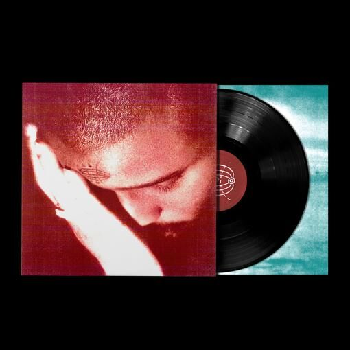 NOURISHED BY TIME - The Passionate Ones Vinyl