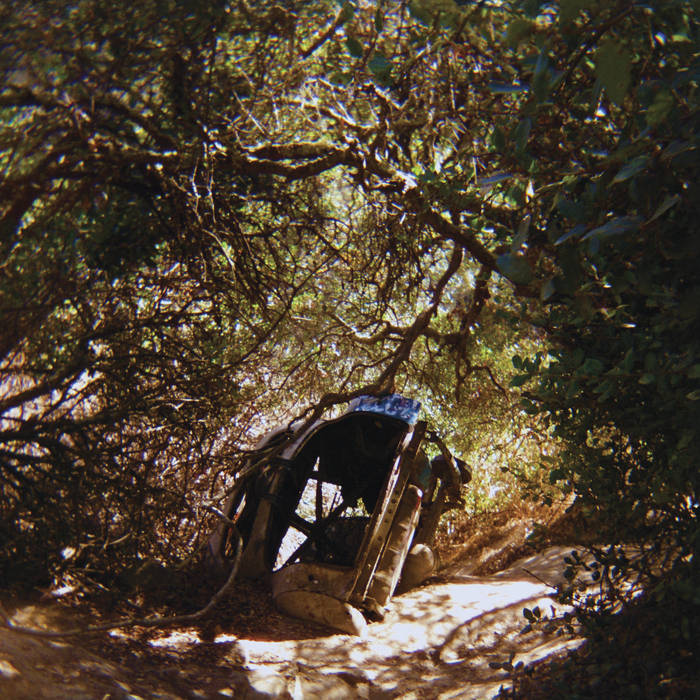 TY SEGALL - Possessions Vinyl