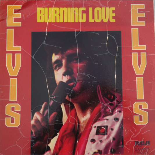 ELVIS PRESLEY - Burning Love (VG+/NM) Vinyl