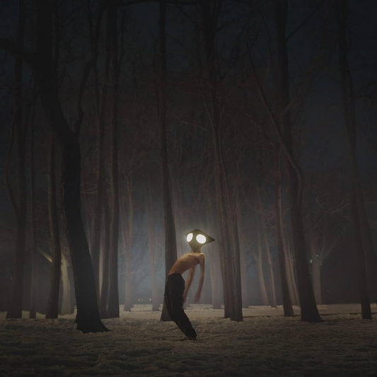 GEESE - Projector Vinyl