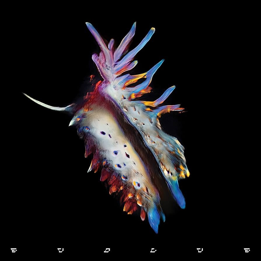 SUB FOCUS - Evolve Vinyl