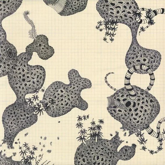 THE SHINS - Wincing the Night Away Vinyl JWrayRecords