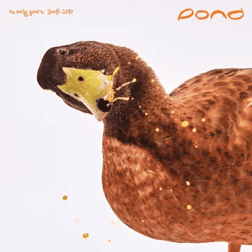 POND - The Early Years 2008 - 2010 RSD25 Vinyl - JWrayRecords