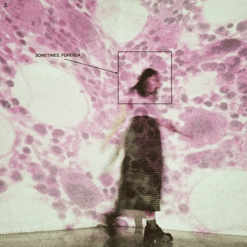 SOCCER MOMMY - Sometimes, Forever Vinyl - JWrayRecords