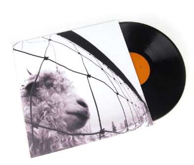 PEARL JAM - VS Vinyl - JWrayRecords