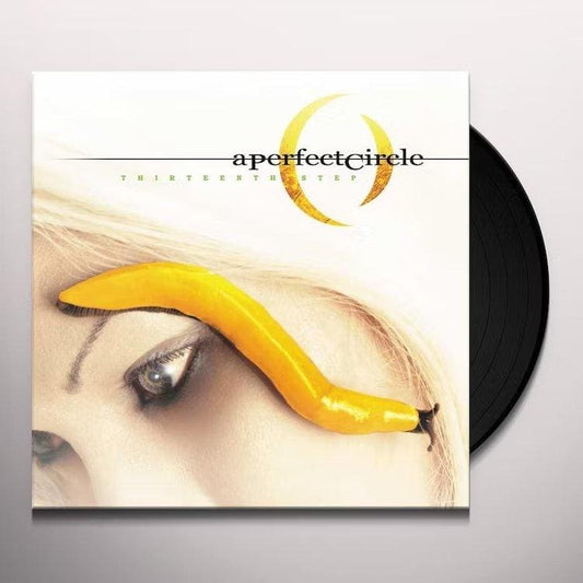 A PERFECT CIRCLE - Thirteenth Step Vinyl - JWrayRecords