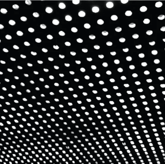 BEACH HOUSE - Bloom Vinyl - JWrayRecords