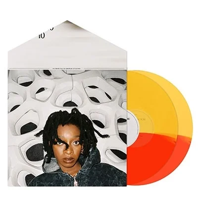 LITTLE SIMZ - No Thank You Vinyl - JWrayRecords