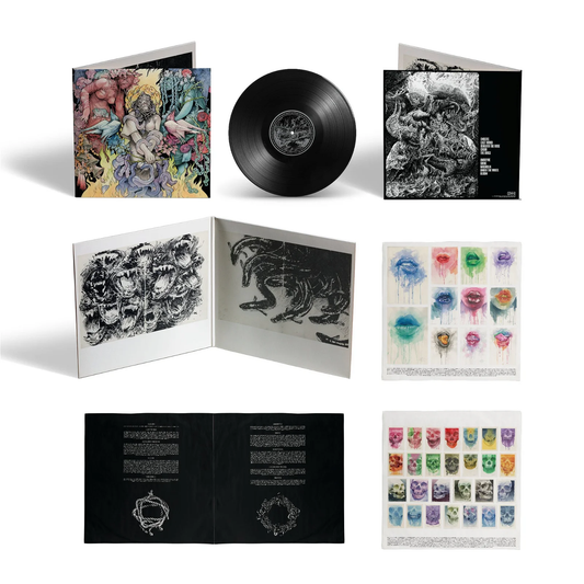 BARONESS - Stone Vinyl - JWrayRecords