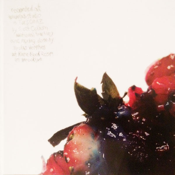 Animal Collective : Strawberry Jam (2xLP, Album, 150)