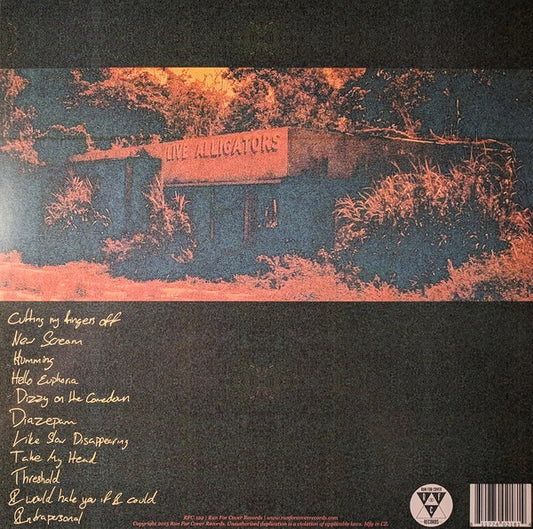 Turnover (3) : Peripheral Vision (LP, Album, Yel)