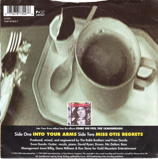 The Lemonheads : Into Your Arms (7", Single)