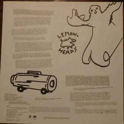 The Lemonheads : Car Button Cloth (LP, Album)
