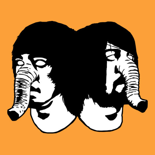 Death From Above 1979 : Romantic Rights (7", Single)