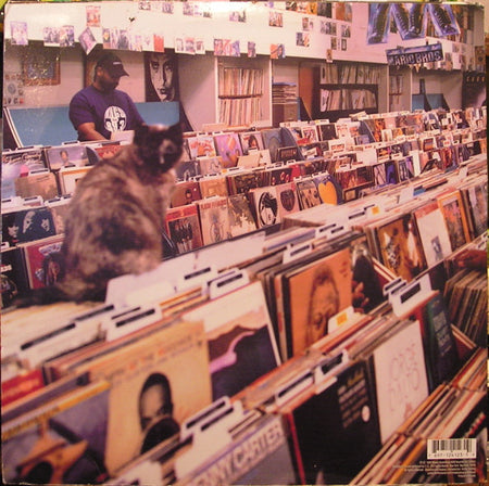 DJ Shadow : Endtroducing..... (2xLP, Album)