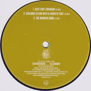 DJ Shadow : Endtroducing..... (2xLP, Album)