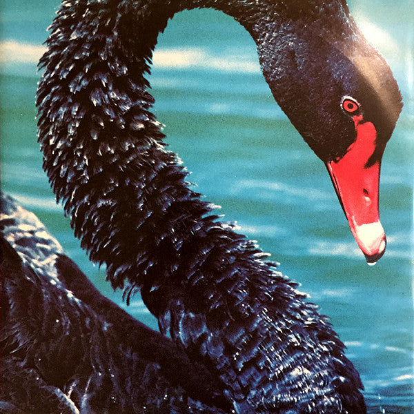 The Triffids : The Black Swan (LP, Album)
