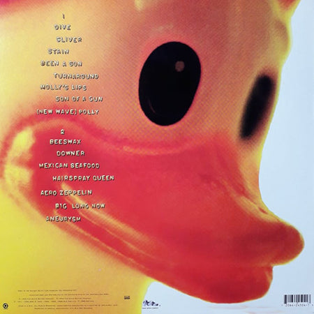 NIRVANA - Incesticide (NM/VG+) Vinyl JWrayRecords