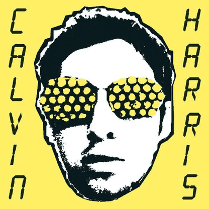 CALVIN HARRIS - I Created Disco Vinyl - JWrayRecords