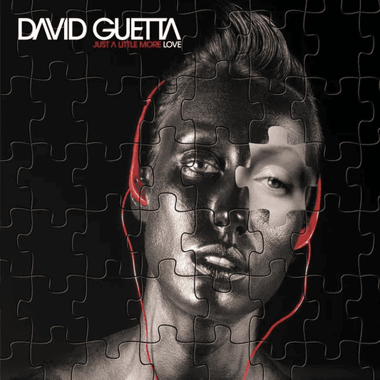 DAVID GUETTA - Just A Little More Love Vinyl - JWrayRecords