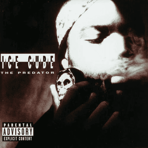 ICE CUBE - The Predator Vinyl - JWrayRecords