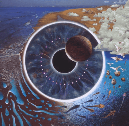 PINK FLOYD - Pulse Vinyl Box Set - JWrayRecords