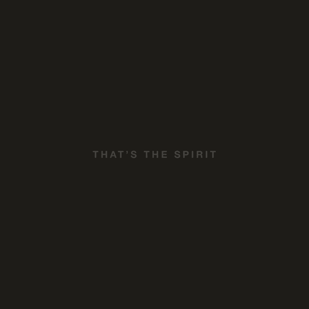 BRING ME THE HORIZON - That's The Spirit Vinyl - JWrayRecords