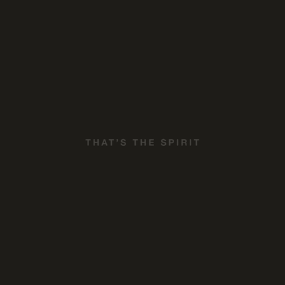 BRING ME THE HORIZON - That's The Spirit Vinyl - JWrayRecords